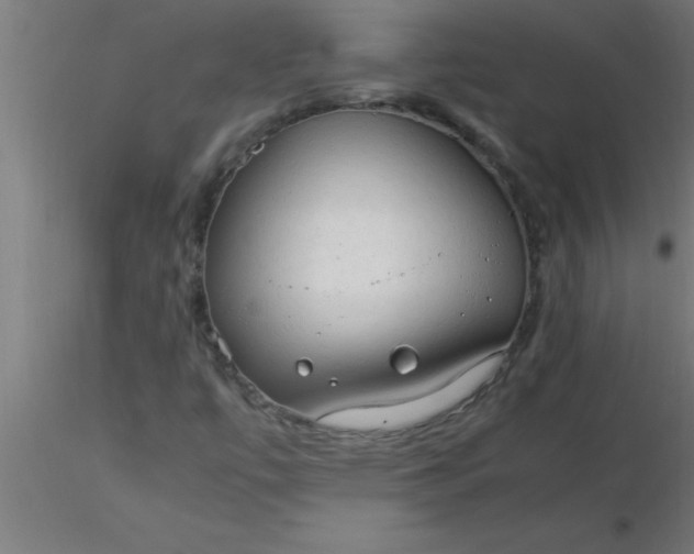 X0000116371447200912231306