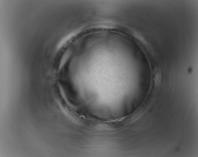 X0000116371448200912231306