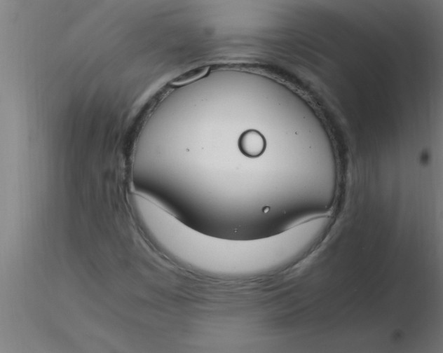 X0000116371449200912231306