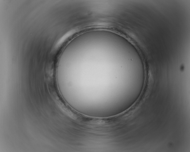 X0000116371450200912231306