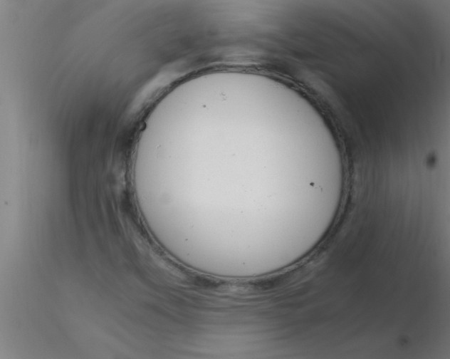 X0000116371451200912231306