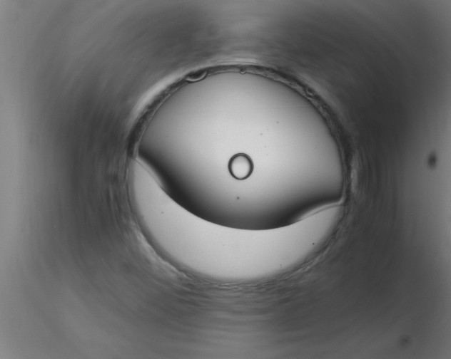 X0000116371452200912231306