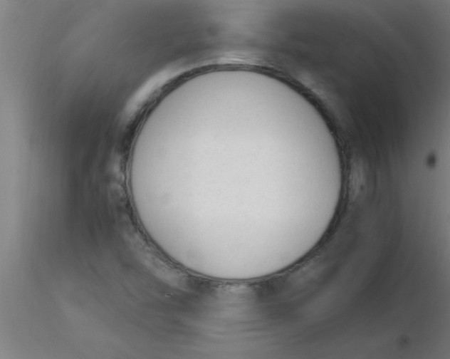 X0000116371454200912231306