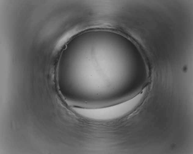 X0000116371455200912231306