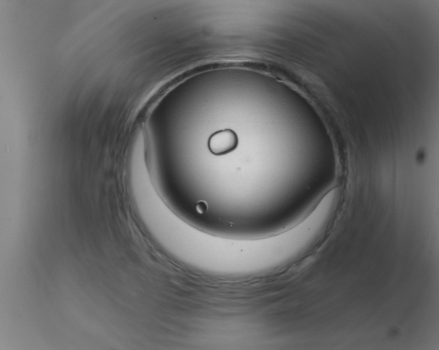 X0000116371457200912231306