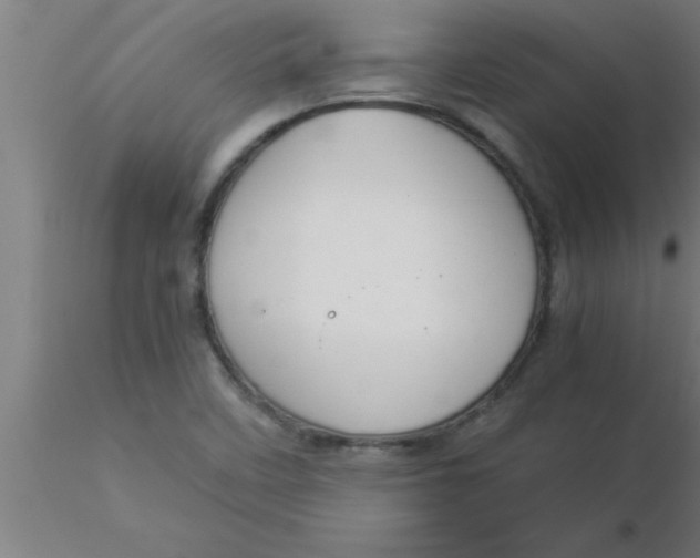 X0000116371458200912231306