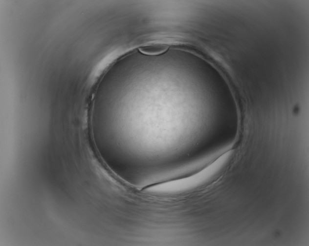 X0000116371459200912231306