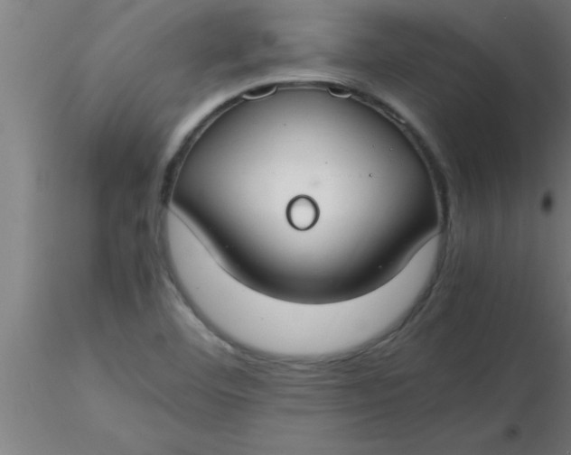 X0000116371460200912231306