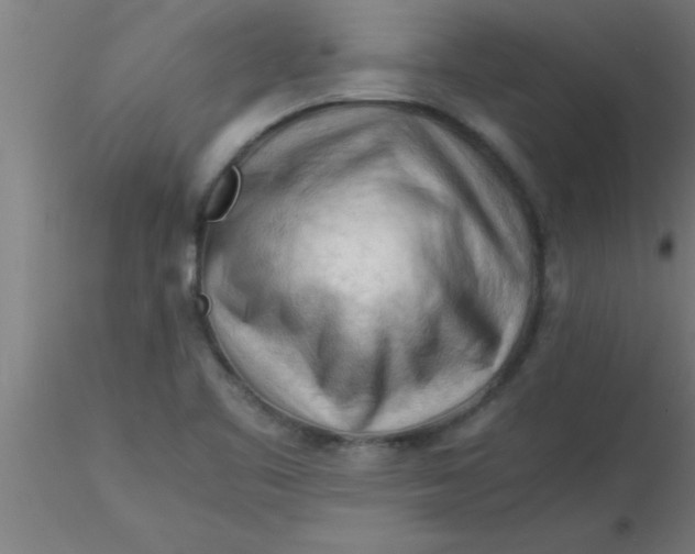 X0000116371461200912231306