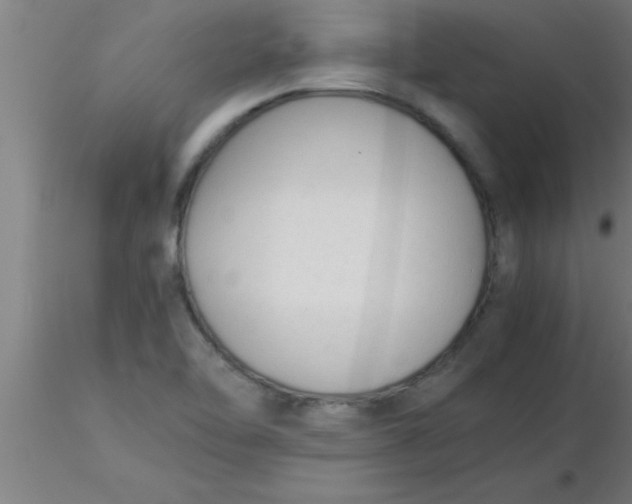 X0000116371462200912231306