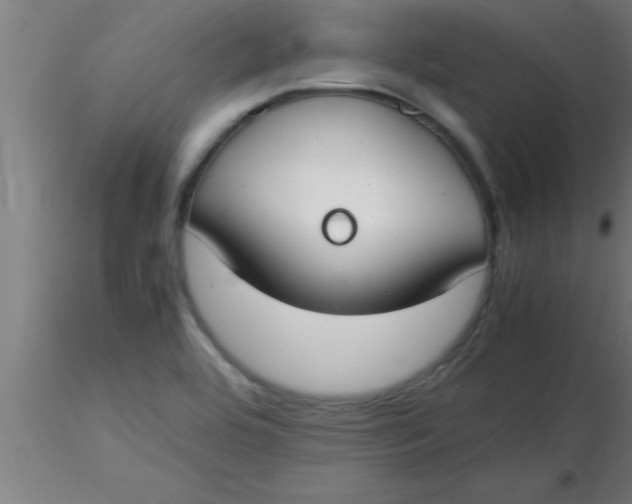 X0000116371464200912231305