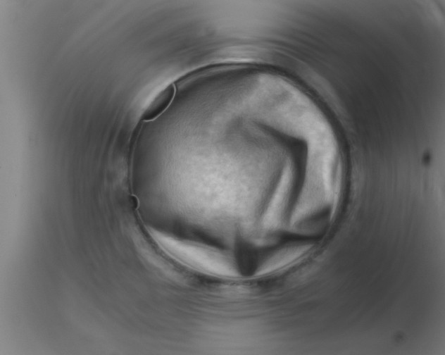 X0000116371465200912231305