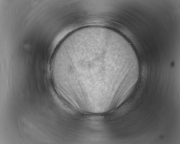 X0000116371466200912231305