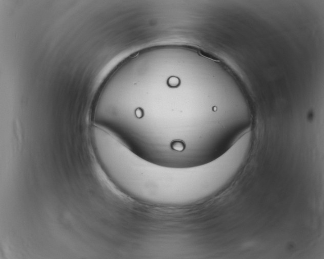 X0000116371468200912231305