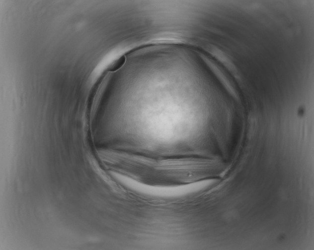 X0000116371469200912231305