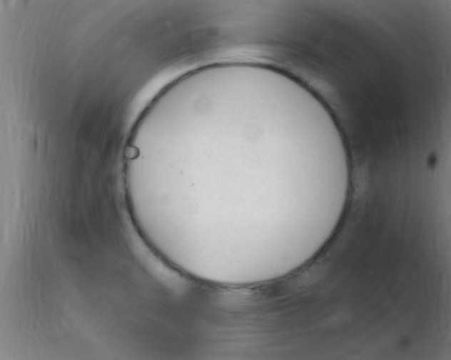 X0000116371470200912231305