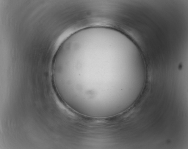 X0000116371471200912231305