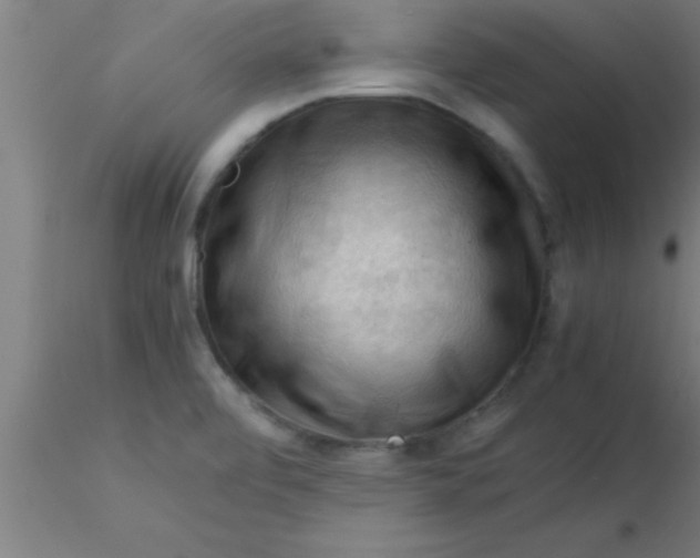 X0000116371472200912231305