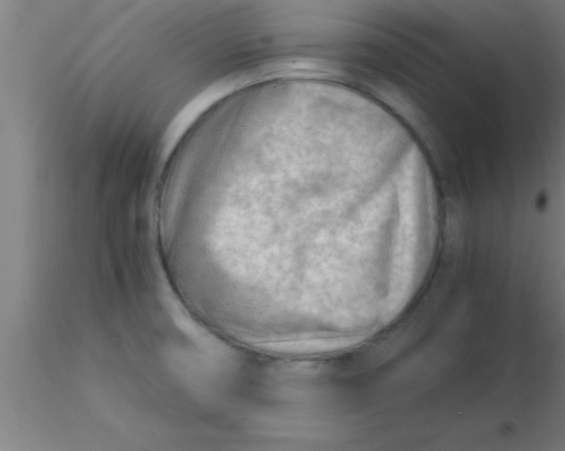 X0000116371474200912231305