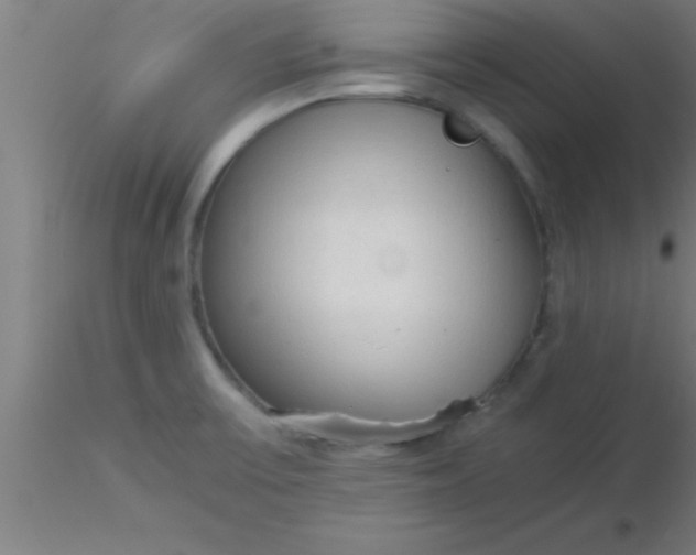 X0000116371475200912231305