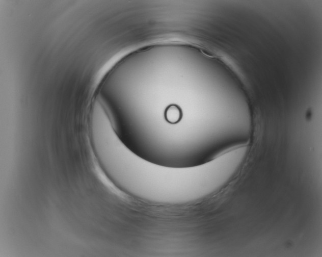 X0000116371476200912231305