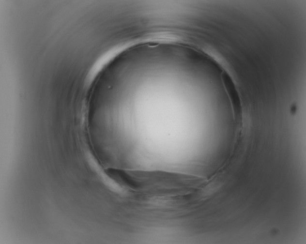 X0000116371477200912231305