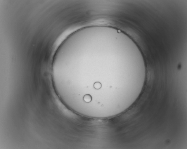 X0000116371478200912231305