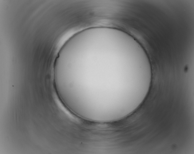 X0000116371479200912231305