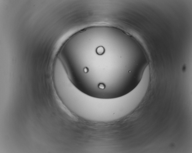 X0000116371480200912231305