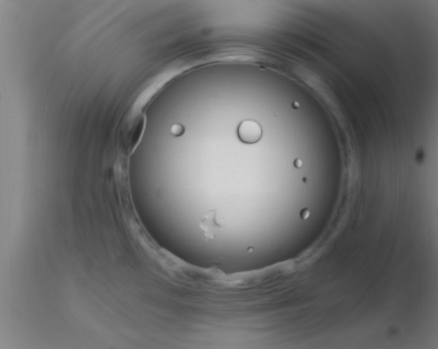 X0000116371481200912231305