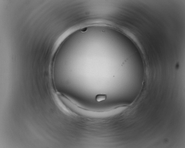 X0000116371482200912231305