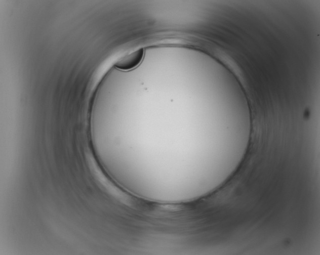 X0000116371483200912231305