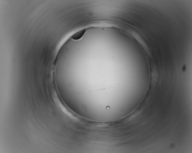 X0000116371484200912231305