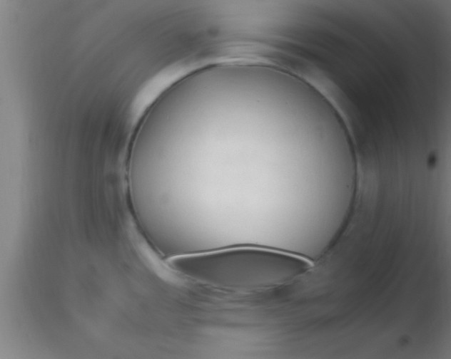 X0000116371485200912231305