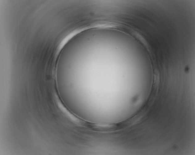 X0000116371487200912231305