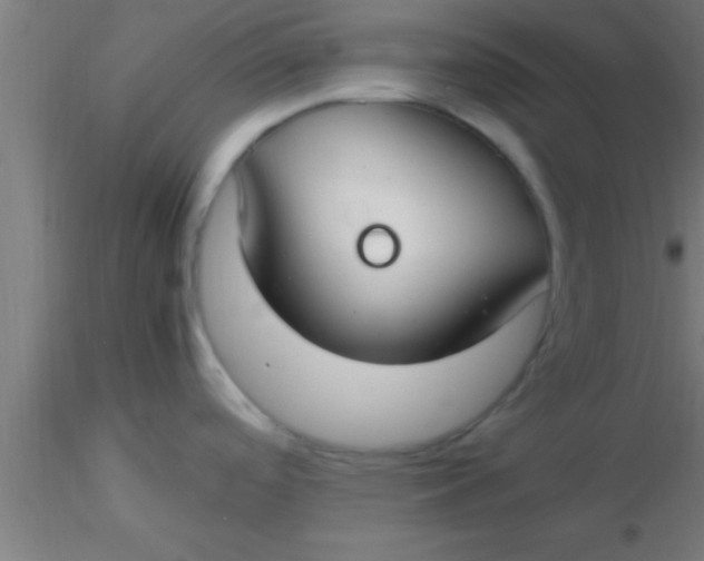 X0000116371488200912231305