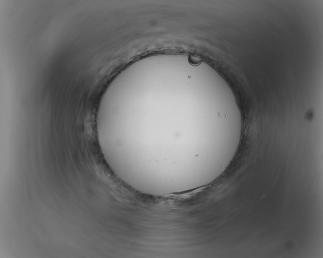 X0000116371490200912231305