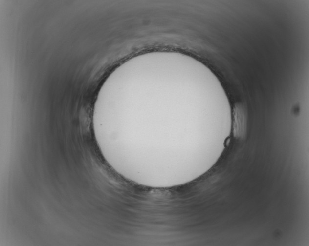 X0000116371491200912231305