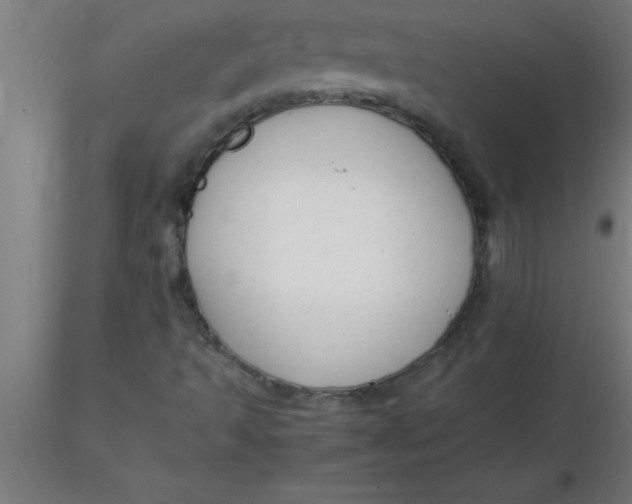 X0000116371493200912231305