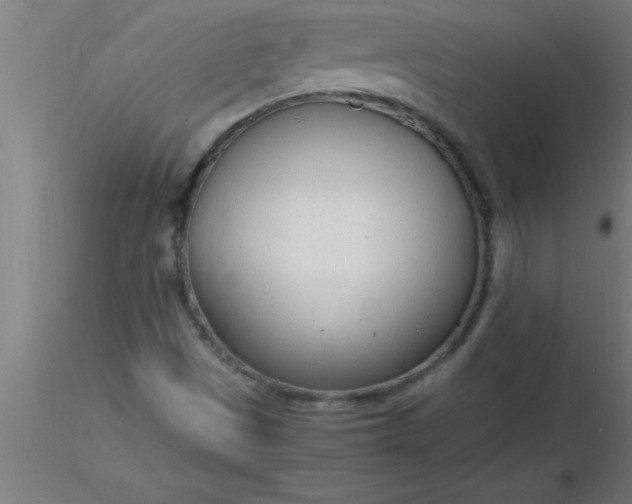 X0000116371497200912231305