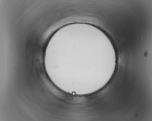 X0000116371498200912231305