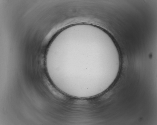 X0000116371499200912231305