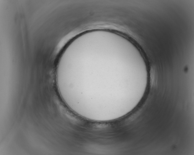 X0000116371501200912231305