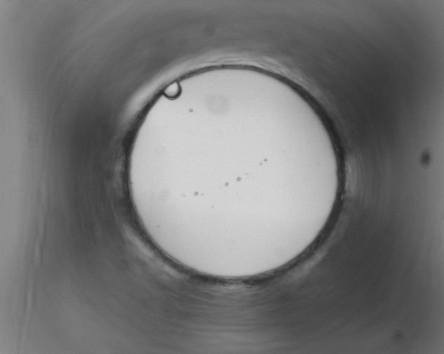 X0000116371502200912231305