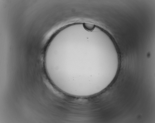 X0000116371503200912231305