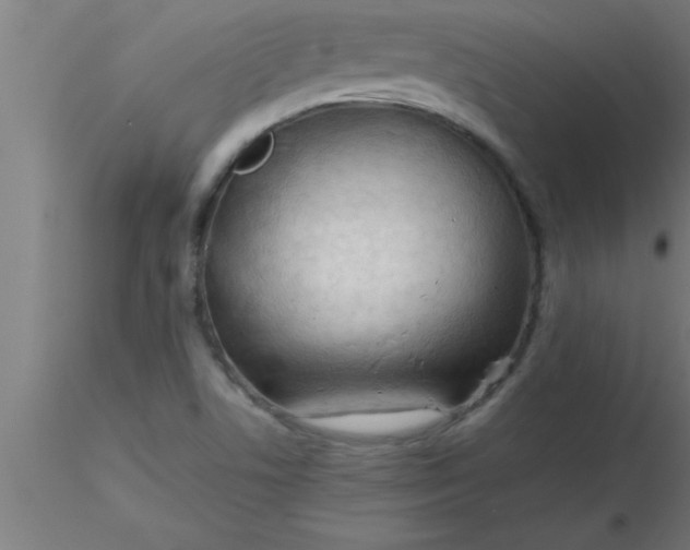 X0000116371506200912231305