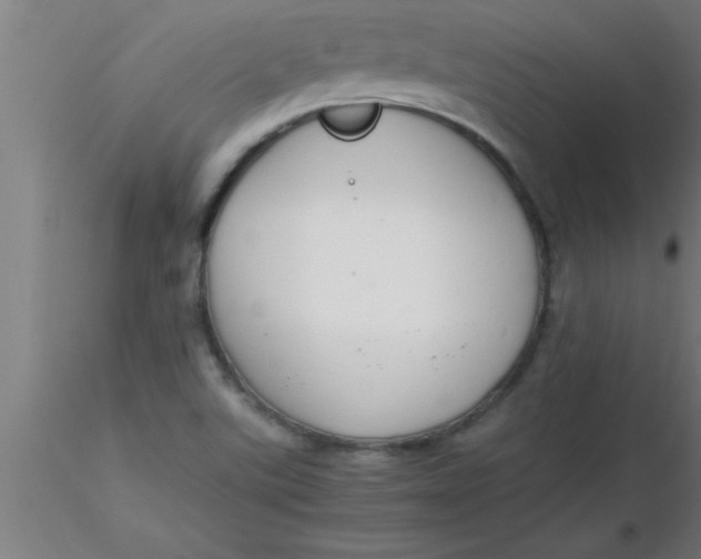 X0000116371507200912231305