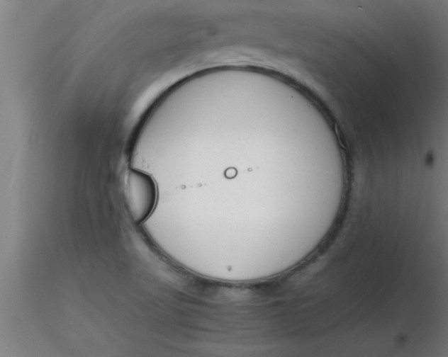 X0000116371509200912231305