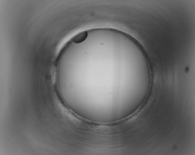 X0000116371510200912231305