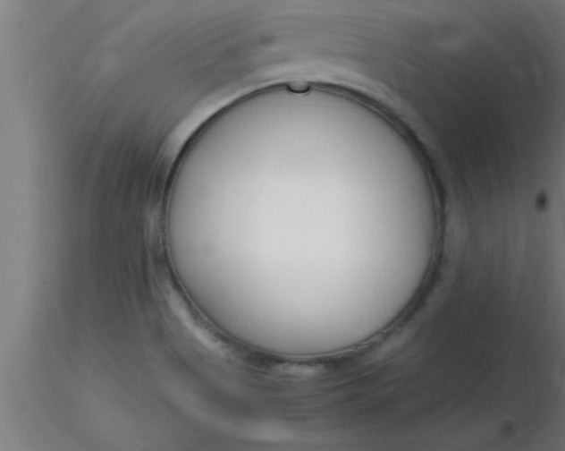 X0000116371513200912231305